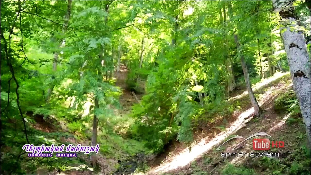 Սեփական փորձով,Ալպիական մանուշակ / Sepakan pordzov