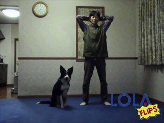 Dog Copies Workout