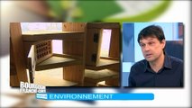 le plus grand hôtel à insectes de France : présentation Arnaud Collin