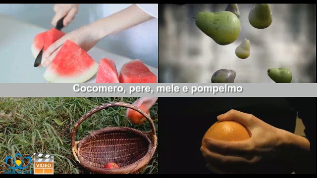 I 5 cibi della dieta brucia grassi