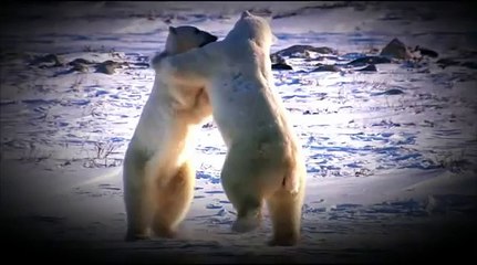 Загадочная природа001