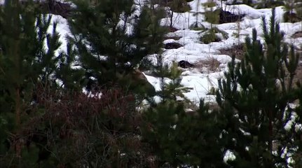 Загадочная природа007