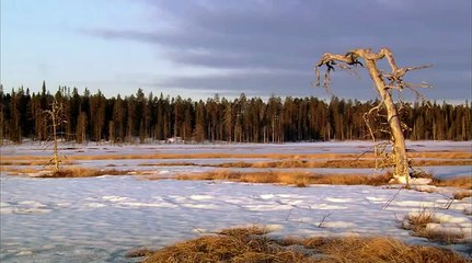 Загадочная природа009