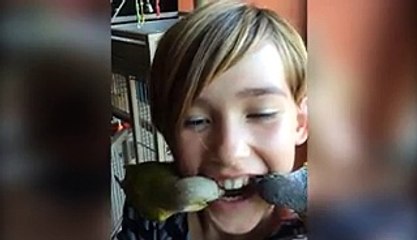 12 Ways To Pull Your Loose Tooth For The Tooth Fairy