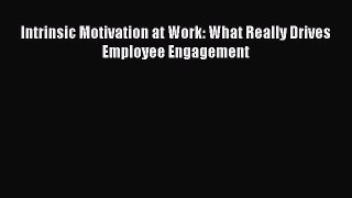 Read Intrinsic Motivation at Work: What Really Drives Employee Engagement Ebook Free