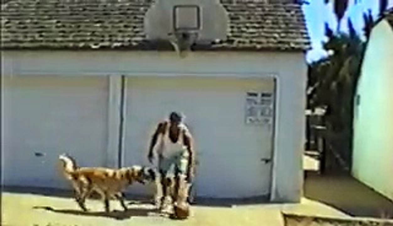 15 Animal Athletes Ready For March Madness