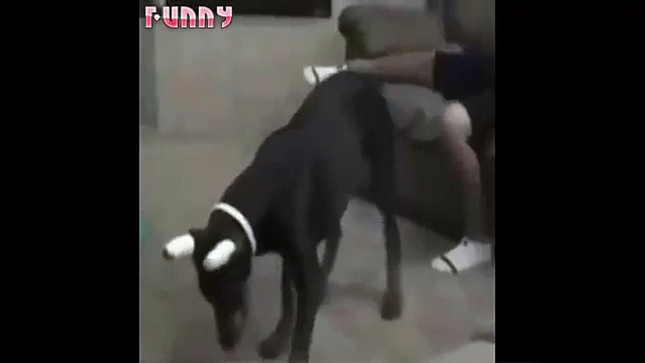 Funny videos 2016 - funny pranks - Try not to laugh or grin challenge HARDEST VERSION