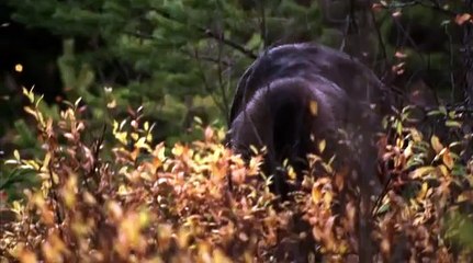 Загадочная природа075