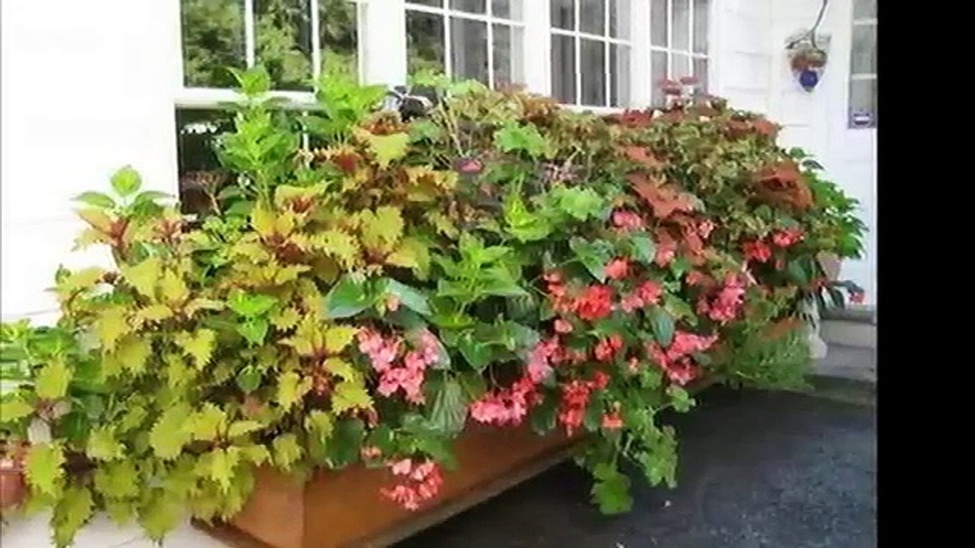 ⁣Ящики для цветов