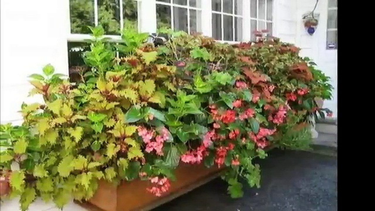 Ящики для цветов