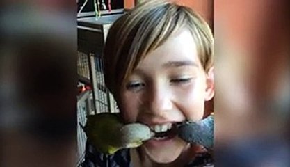 12 Amazing Ways To Pull Your Loose Tooth For The Tooth Fairy