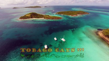 tobago cays , avec croisiere grenadines.