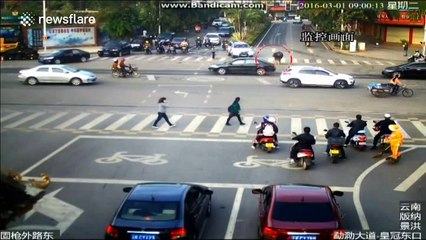 Police shoot buffalo dead after it causes havoc on busy road
