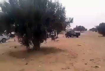 يحدث فقط في الجنوب هذا مش الجيش أهالي بن قردان يقومون بالتمشيط والبحث على الجرذان الداعشية