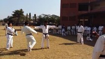 knock out karate kicks