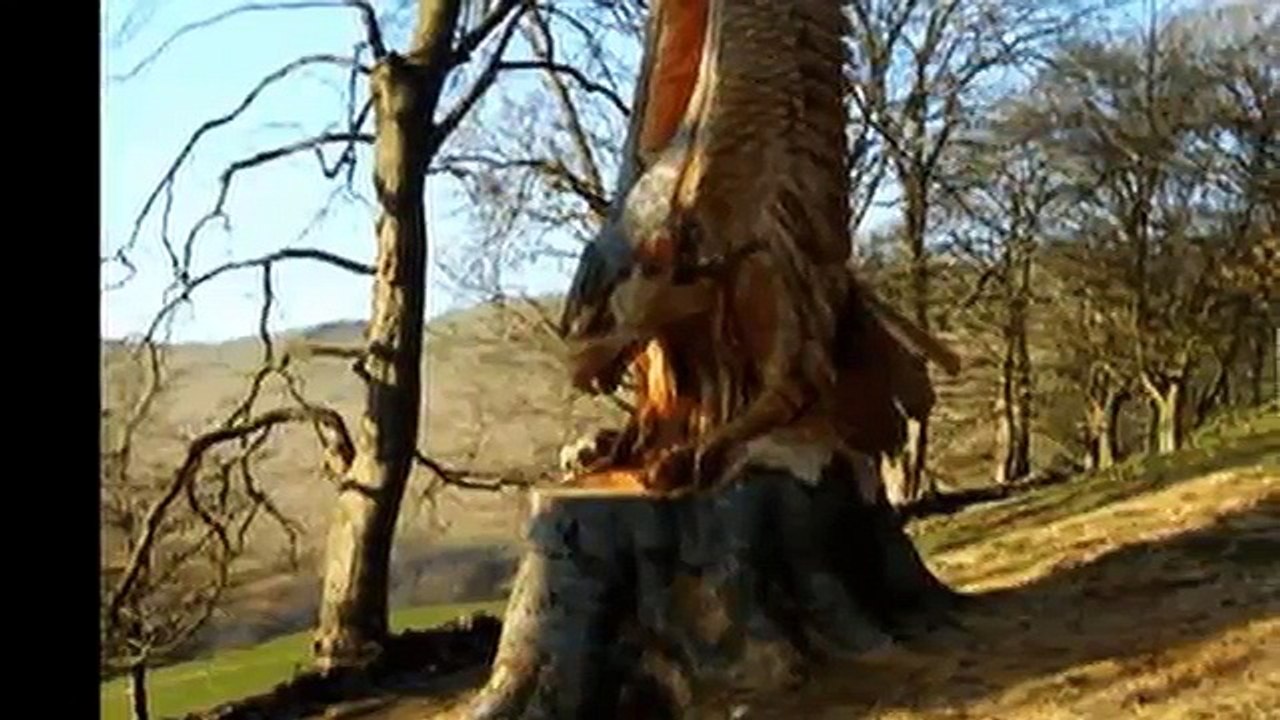 Удивительные скульптуры в деревьях