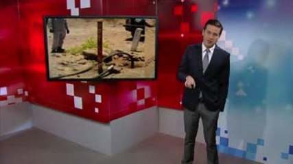 Nacho Lozano. Senadores contra la ordeña, pero no de vacas