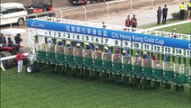 Hong Kong Gold Cup 2016