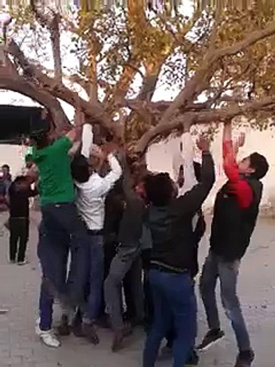 Very funny video must watch it