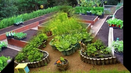 Красивые грядки - Красивый огород своими руками!