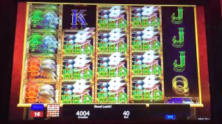 NEW Queen of Wonderland, Class II slot machine, Live Play & Bonus