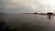 Un banc de poissons attaque des baigneurs sur une plage