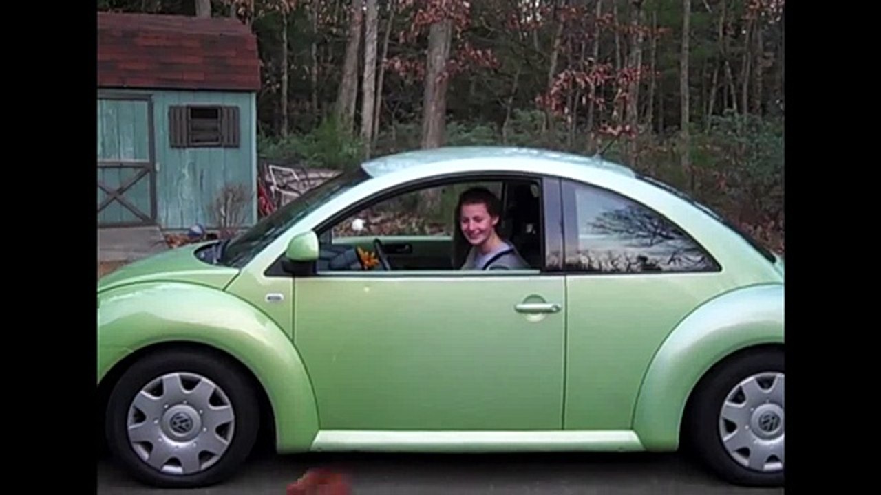 Dogs, Cats, Horses, and Cars!