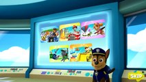 Paw Patrol Academy Marshalls Fire Rescue Challenge - New Episodes 2015 HD