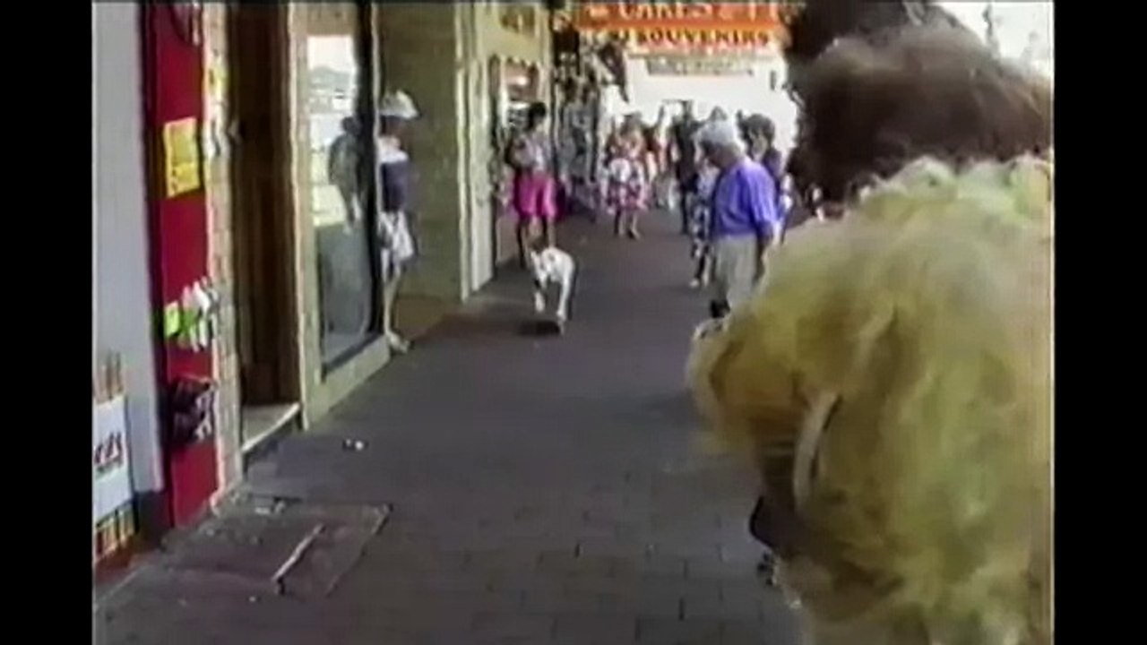 Skateboard Dogs- Compilation