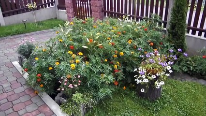 Оригинальный дачный участок