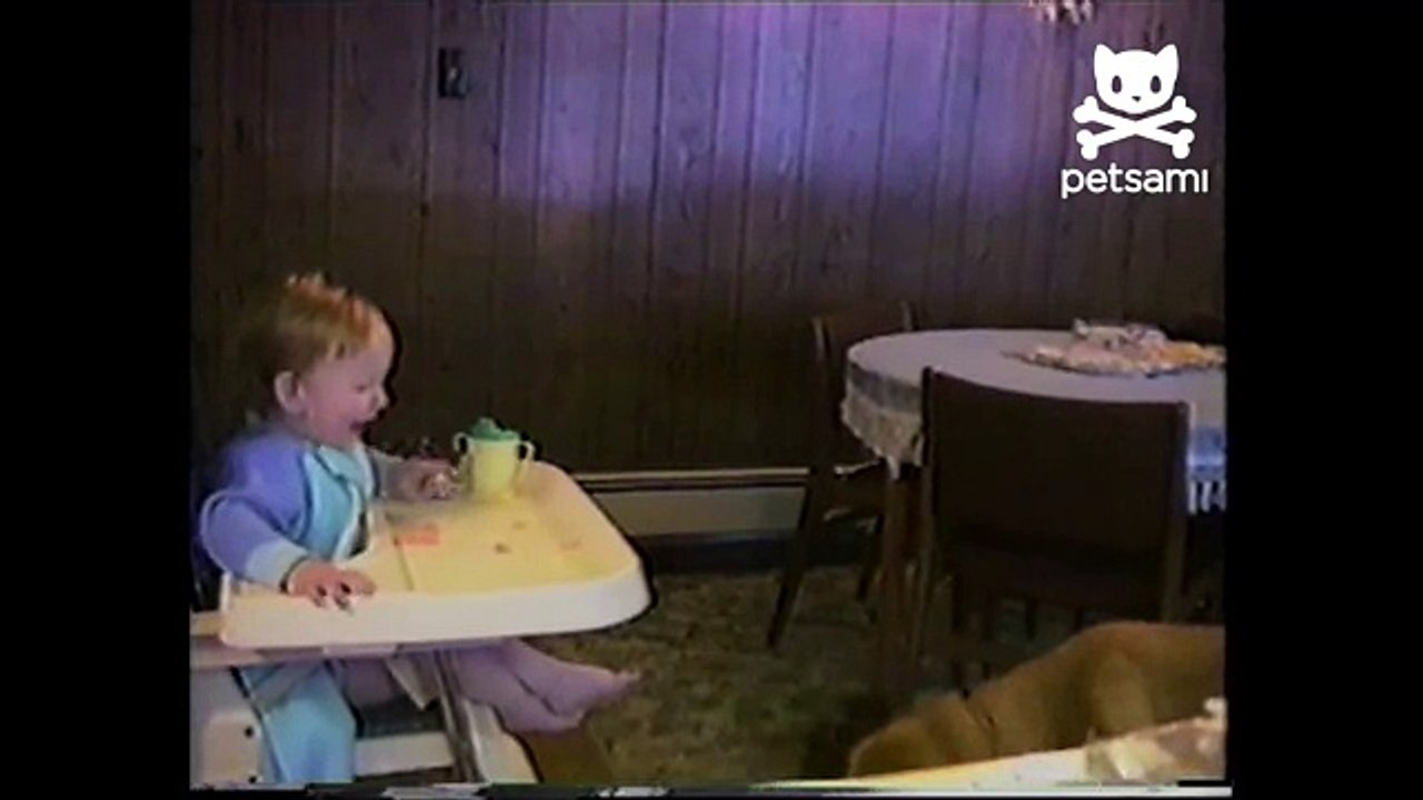 Baby spits food into dog's mouth