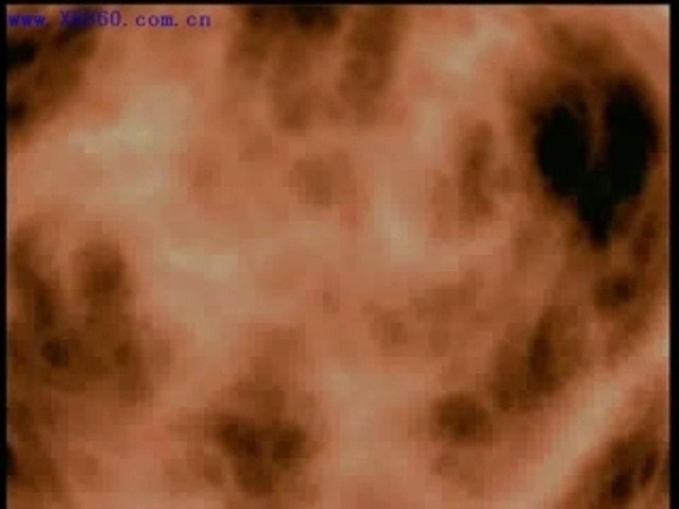 Bayman (doa4)