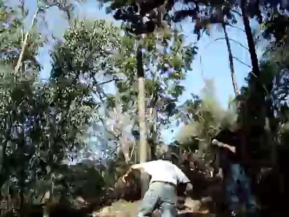 caminhada pela montanha!