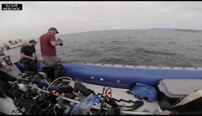 Un requin s'attaque au bateau pneumatique de touristes