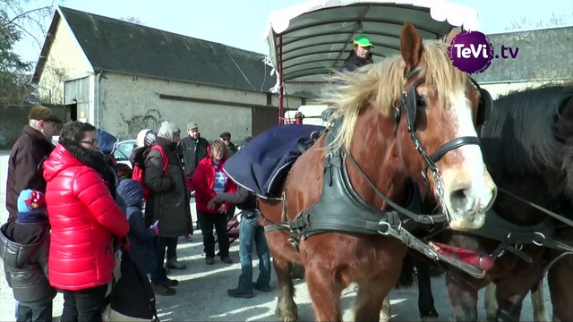 Promenade au Marais du Cotentin et du Bessin [TéVi] 16_03_10