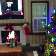 Vea la sorpresa que se llevaron los espectadores de este video