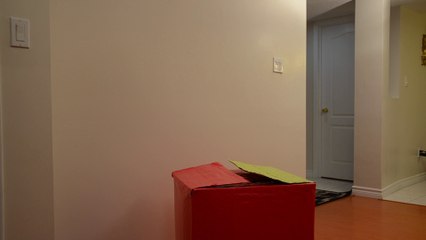 How To For Kids: Blanket Fort