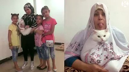 Après un parcours de survie de 3000 kms un chat retrouve sa maitresse !