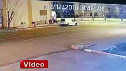 Cette créature descend du ciel et donne la frousse aux agents de sécurité !