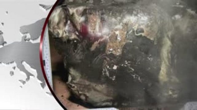 #MundoEnClaro Confirman que piloto estrelló avión de Germanwings