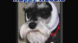 Happy Hoodie - for Dog Groomers
