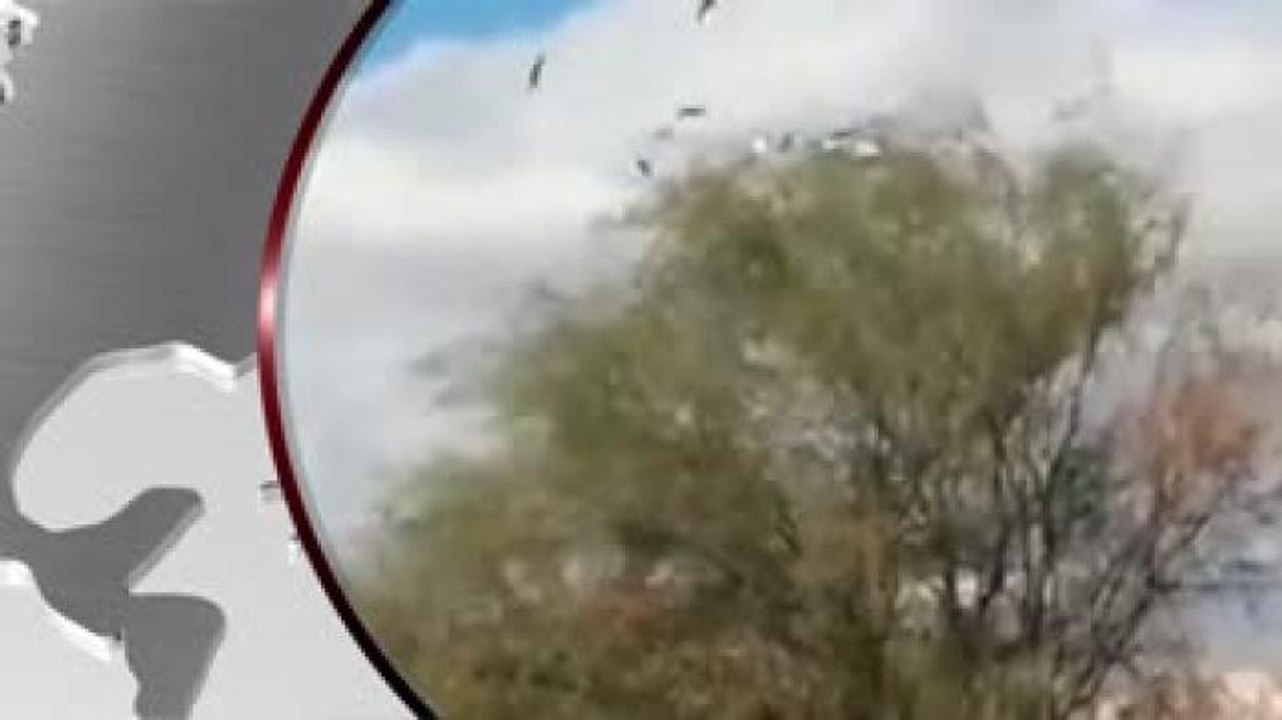 #MundoEnClaro Chocan dos helicópteros en Argentina