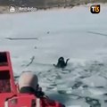 Mira como salvaron a este perro atascado en hielo