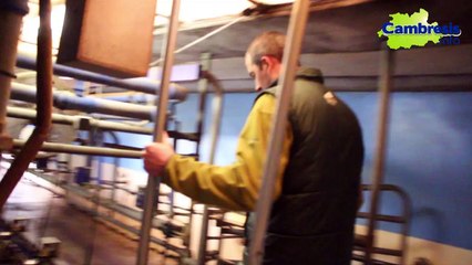 Crise Agricole 2016 - Au coeur d'une exploitation