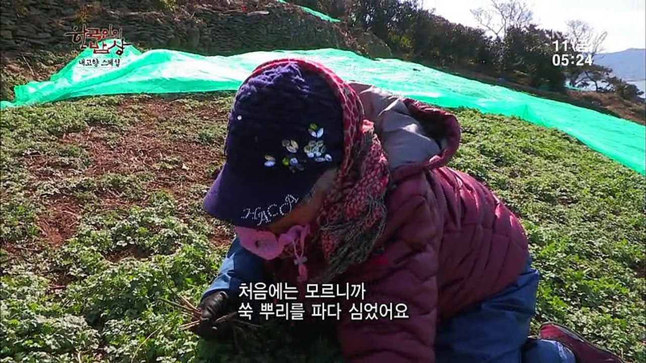 내고향 스페셜.E814.160311.HD