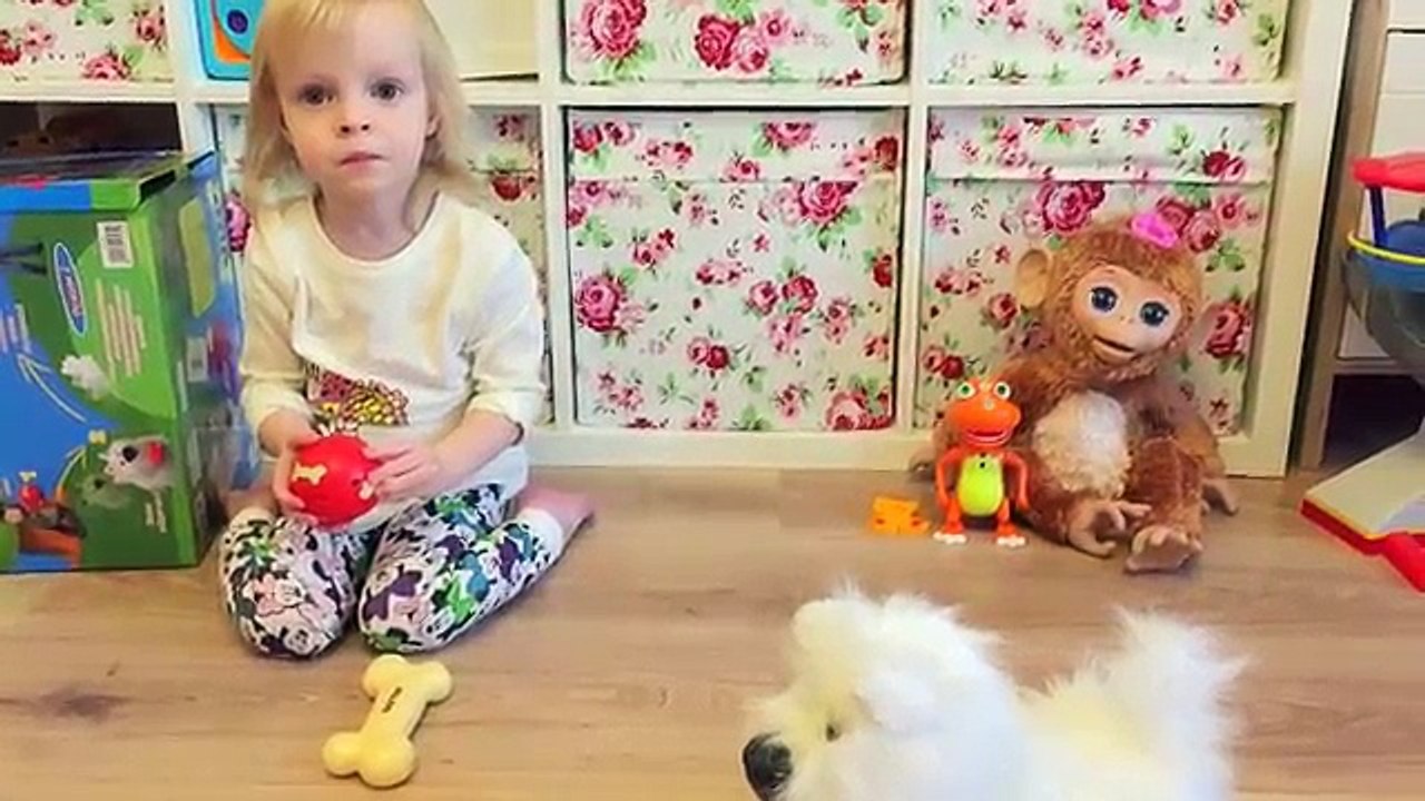 Щенок Бакстер играет и приносит мячик интеракти...