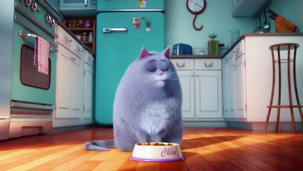The Secret Life of Pets VIRAL VIDEO - Meet Chloe (2016) - Jenny Slate Animated Movie HD