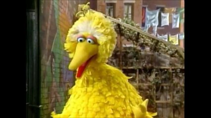 Sesame Street Episode 2506 - Bobs deaf friend