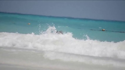 Cara Delevingne & Michelle Rodriguez -- TOPLESS MAKEOUT SESH ... On the Beach