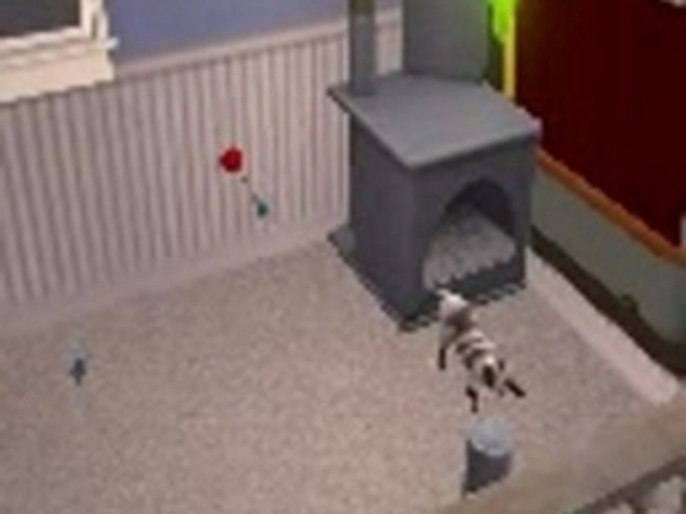 Cute Cat